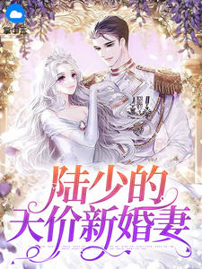 陆少的天价新婚妻全文免费试读